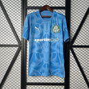 Camisa Palmeiras Goleiro I - 25/26